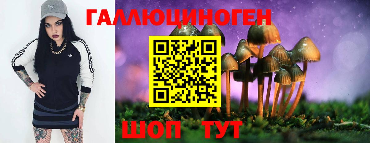 Назрань  Псилоцибиновые грибы мицелий  Галлюциногенные грибы MAGIC MUSHROOMS  Вход с VPN 